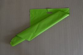 Zelená plastová obálka s uchom 480x730+50mm